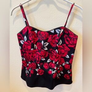 Beautiful WHBM Silky Bustier Sz 2